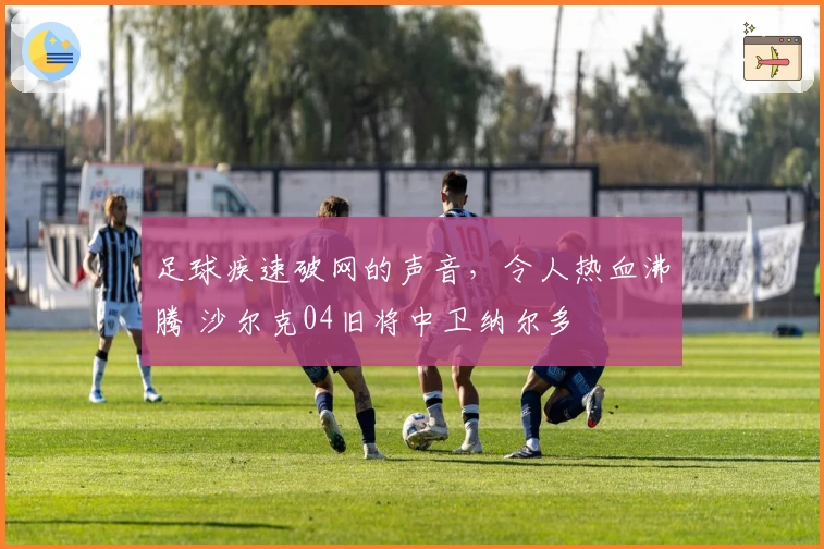足球疾速破网的声音，令人热血沸腾 沙尔克04旧将中卫纳尔多