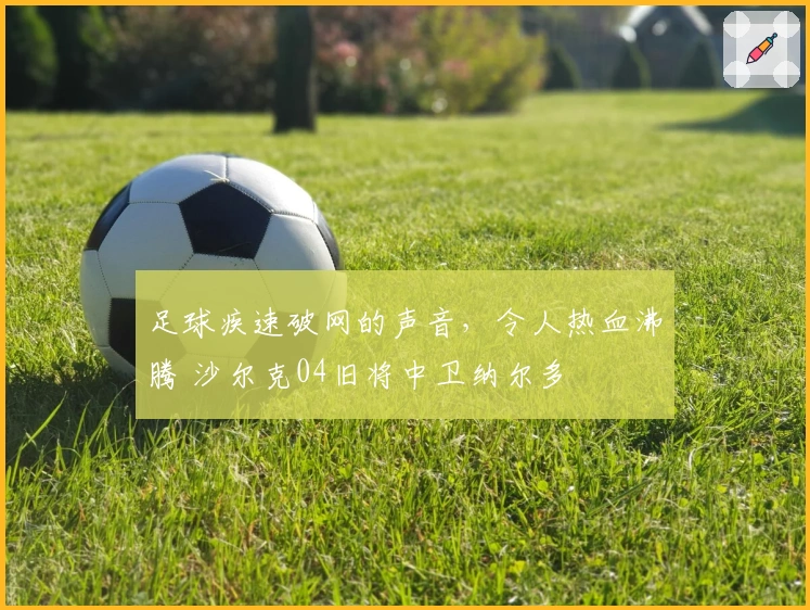 足球疾速破网的声音，令人热血沸腾 沙尔克04旧将中卫纳尔多